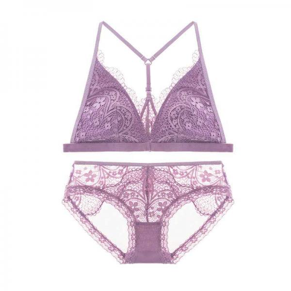 Dark Angels Sexy French Bandage Lace See Through Women Bra And Brief Set - Blue