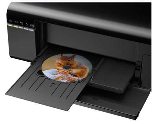 Epson L805 Wi-Fi Photo Ink Tank Color Printer