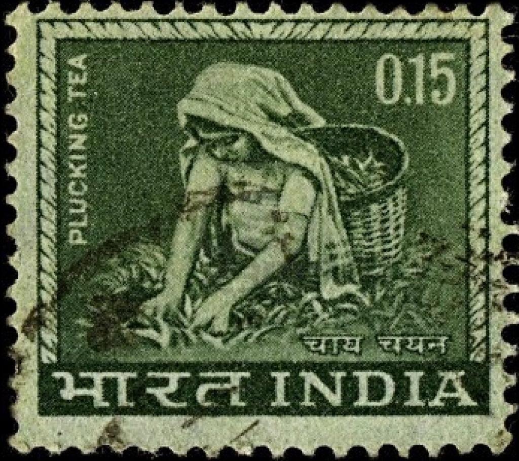 India 1965 -1967 Plucking Tea - 15 Cents - Dark Olive Green White - Jungle.lk
