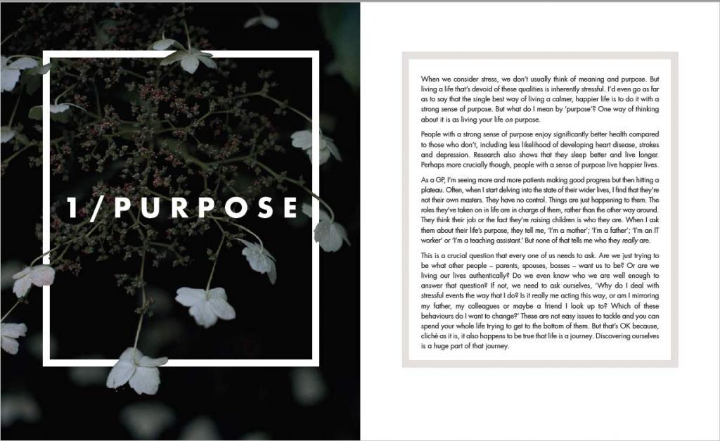 The Stress Solution The 4 Steps to Reset Your Body, Mind, Relationships and Purpose
