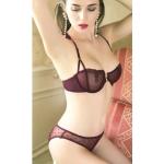 Dark Angels Embroidered Floral Sexy Bra & Brief Set With Underwire – Maroon