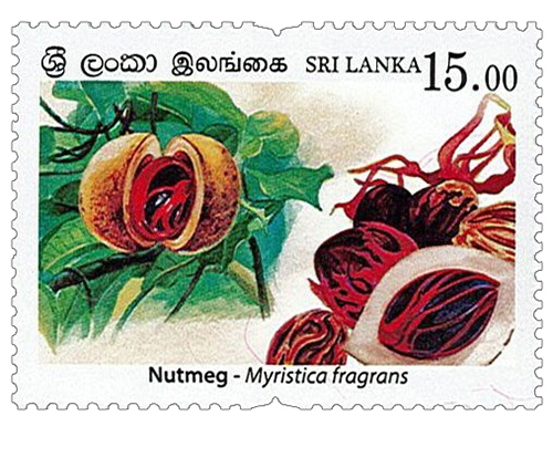 SriLanka 2019-02-26 Spices of Srilanka - Nutmeg Stamp - Rs 15.00 ...