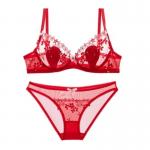 Dark Angels Luxurious Ultra Thin Breathable Transparent Comfortable Bra & Brief Set Red