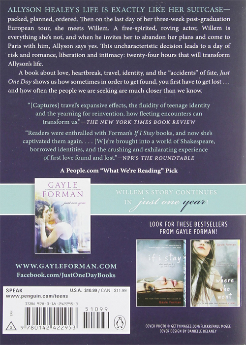 Just One Day Story Book by Gayle Forman