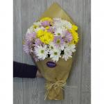 Mixed Chrysanthemum Bunch