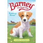 Barney The Boat Dog : Runway Horse !