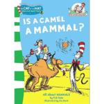 Is a Camel a Mammal?