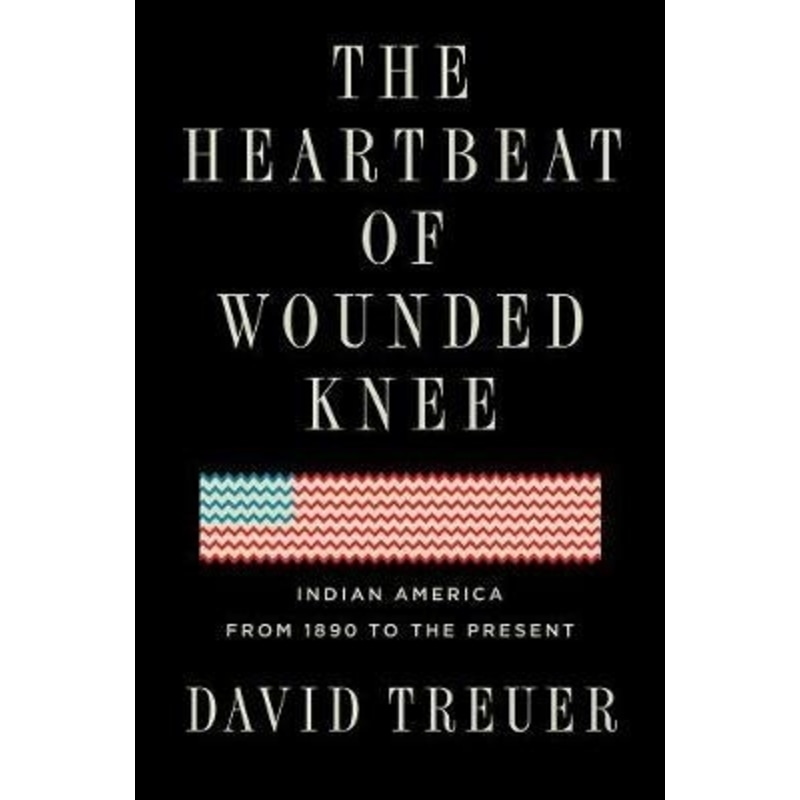 Image result for heartbeat of wounded knee