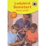 Ladybird Sunstart: Guess What ? – Book 6