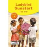 Ladybird Sunstart: The Kite – Book 3