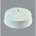 Orange Celing Rose 10A (XAC-410C)