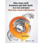 How Some Small Business get Their Ducks in a row and Grow – While others remain undistinguished