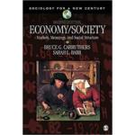 Sociology for a new Century : Economy Society Markets Meanings and Social Structure