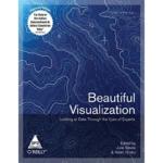 Beautiful Visualization