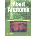 Plant Anatomy