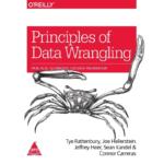 Principles of Data Wrangling: Practical Techniques for Data Preparation