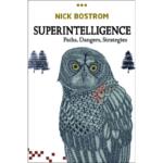 Superintelligence – Paths Dangers Strategies
