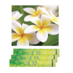 Aura Incense Sticks – Frangipani – Araliya (L)