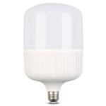 Dimo Lumin High Power 20W Day Light – Pin Type