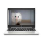 HP Probook 455 G7 Notebook Ryzen 5 15.6 Inch, 1TB 5400 RPM 8GB DDR4 Win 10 Laptop