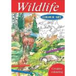 Wildlife Colour Art Creative Colouring
