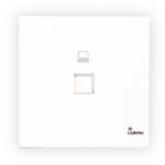Dimo Lumin Single Data Socket With Shutter White – LT01CM