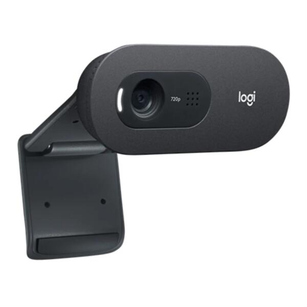 Logitech C505 HD Web Camera