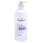 Dreamron Shampoo Salon Pack – 1L