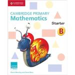 Cambridge Primary Mathematics Starter Activity Book B
