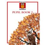 Nelson Grammar Pupil Book 2