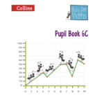 Busy Ant Maths – Pupil Book 6C